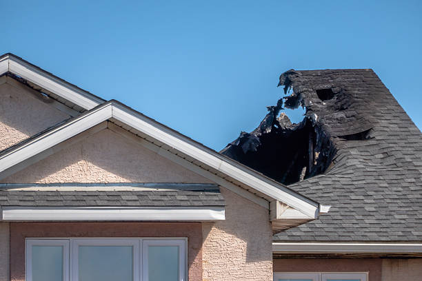 Licensed Fire Damage Removal service in Green Isle, MN - Fire Damage Biloxi